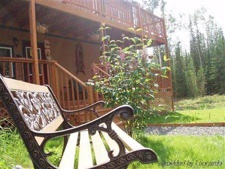 A Mooseberry Inn B&B Slana Exterior photo