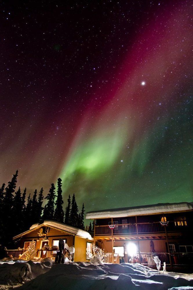 A Mooseberry Inn B&B Slana Exterior photo